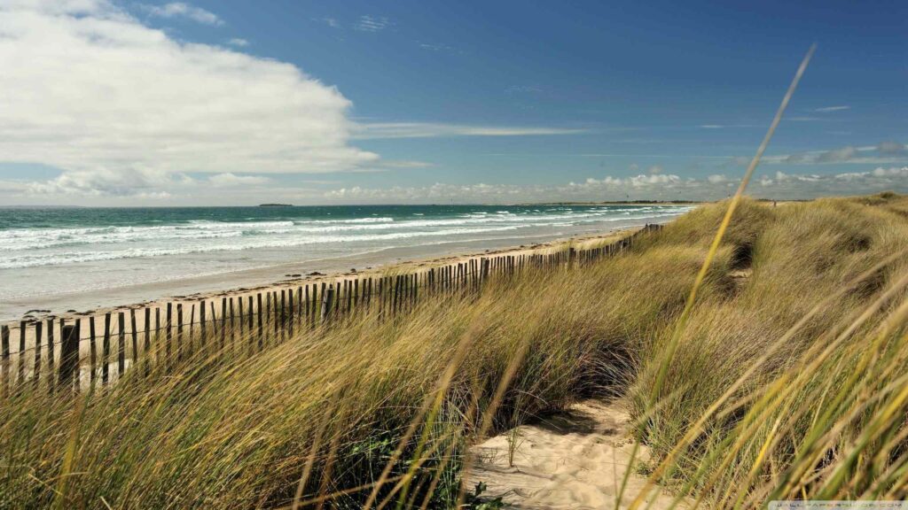 Peaceful coastal landscape representing grief and support